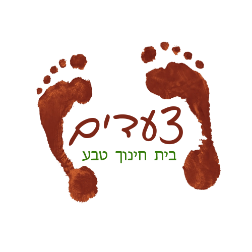 צעדים